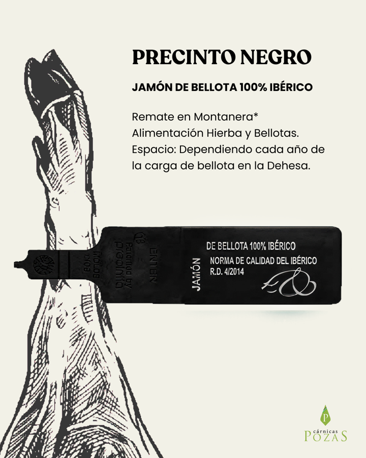Precinto negro — bellota 100% ibérico