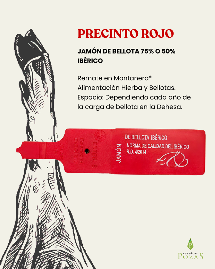 Precinto rojo — bellota 75% / 50% ibérico