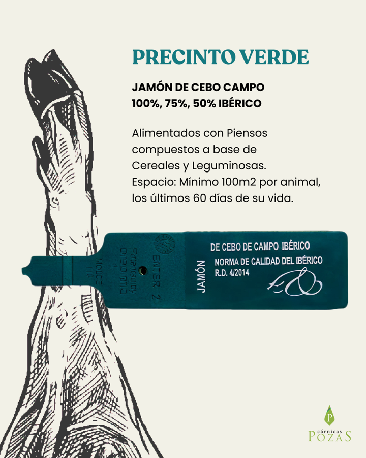 Precinto verde — cebo de campo ibérico