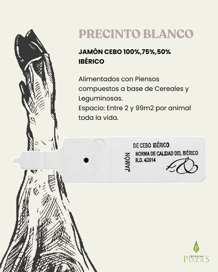 Precinto blanco — cebo ibérico