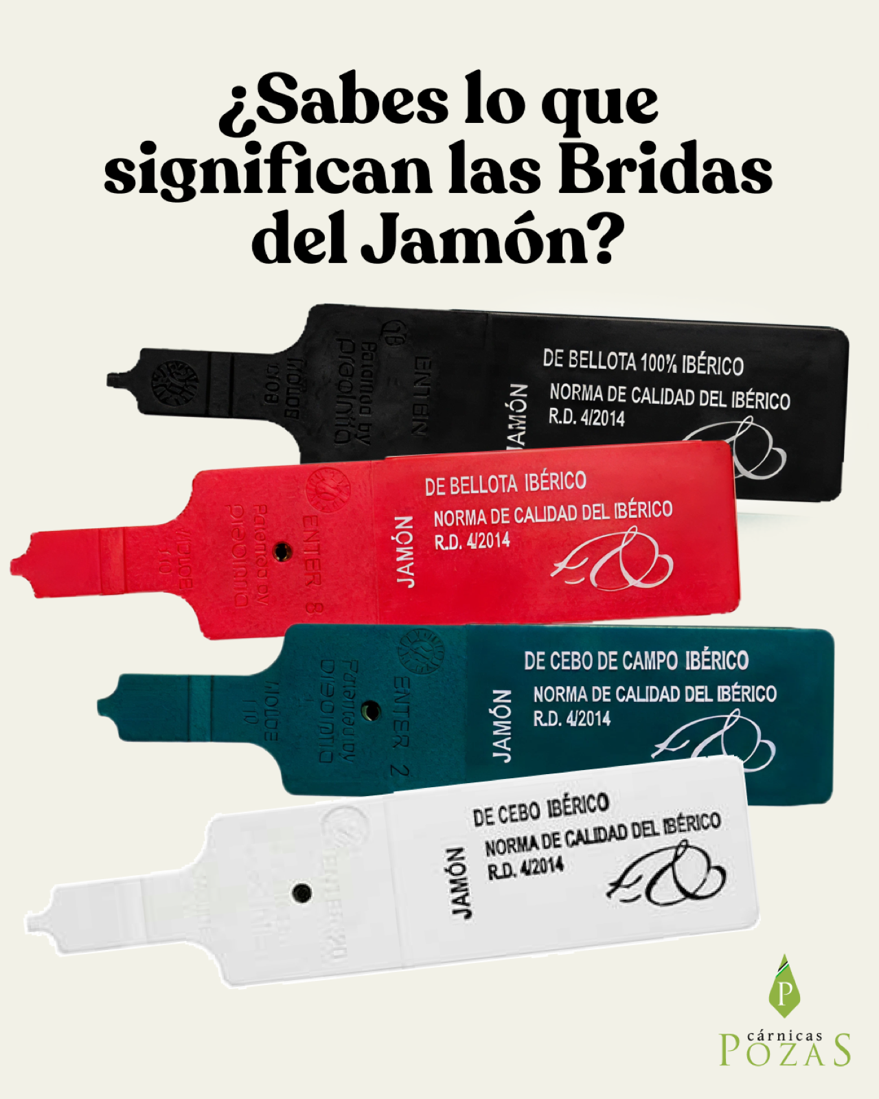 “¿Sabes lo que significan las bridas del jamón?” cover