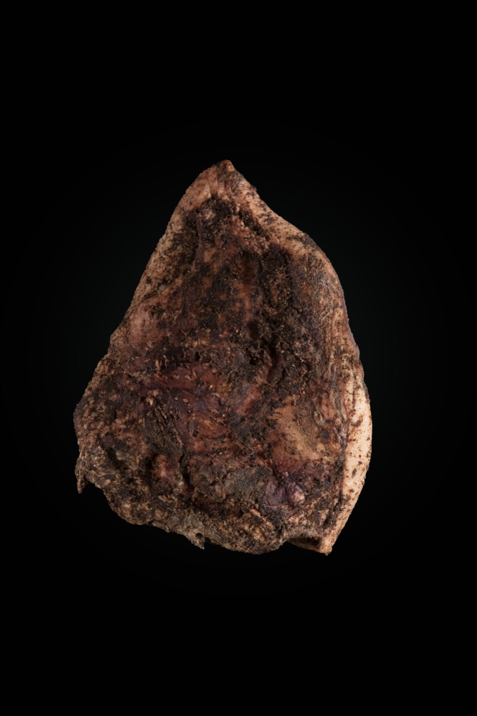 Iberian guanciale